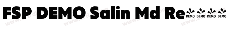 FSP DEMO Salin Md Re字体转换